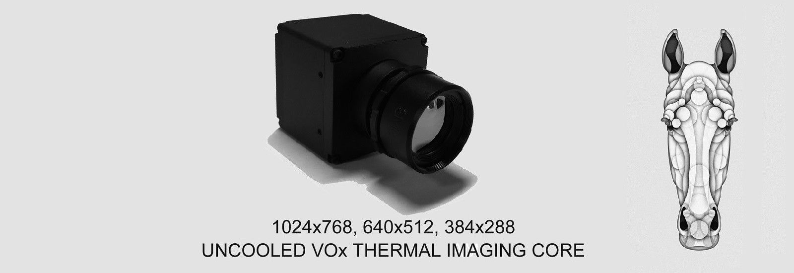 kwaliteit thermische cameramodule fabriek